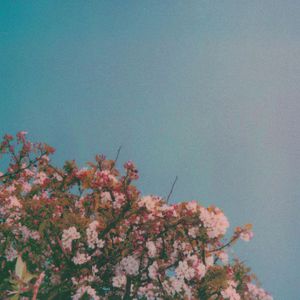 白丝校花污h自慰
